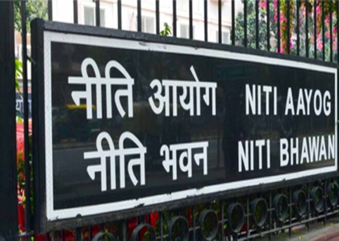 2040 तक 1 ट्रिलियन डॉलर पहुंचेगा भारत का केमिकल सेक्टर: नीति आयोग का अनुमान