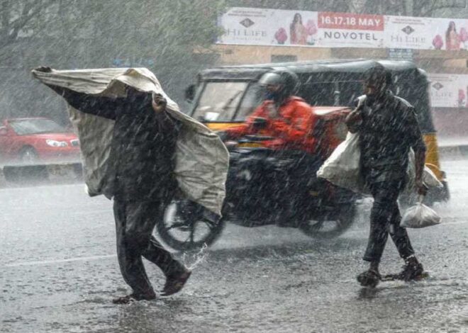 धमतरी : जिले में अब तक 275 मि.मी. औसत वर्षा दर्ज